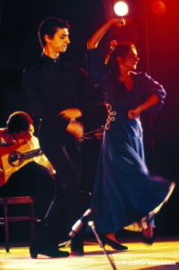 flamenco859_17