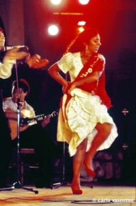 flamenco859_31