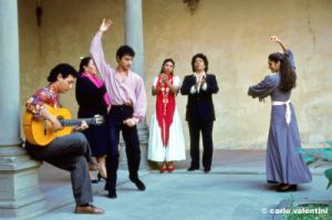 flamenco859_49