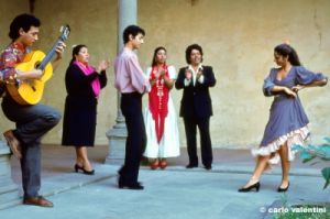 flamenco860_05