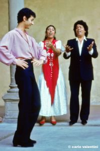 flamenco860_11