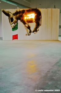 cucchi_asino01_02
