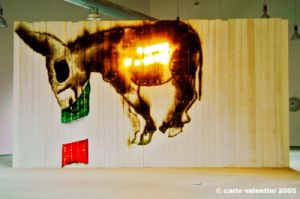 cucchi_asino03_04