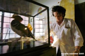 luca_stoppini06