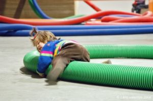quarter_bambini17