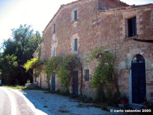 appennino_catria02