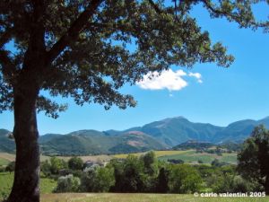 appennino_catria07