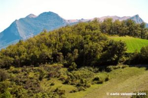 appennino_catria08