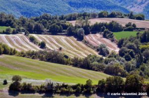 appennino_catria09