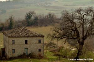 ascoli_piceno_campagna02