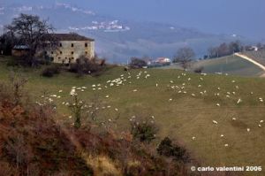 ascoli_piceno_campagna03