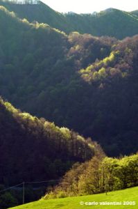 bocca_trabaria4