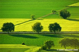 campagna_recanatese02