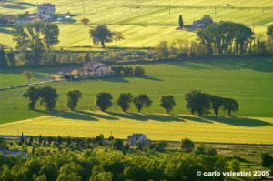 campagna_recanatese04