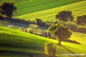 campagna_recanatese06