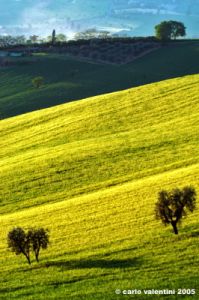 campagna_recanatese08