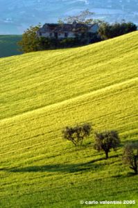 campagna_recanatese09