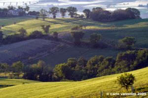 campagna_recanatese10