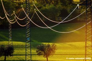 campagna_recanatese17