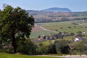 campagna_recanatese23