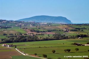 campagna_recanatese24
