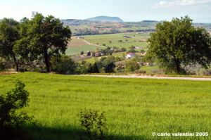 campagna_recanatese25