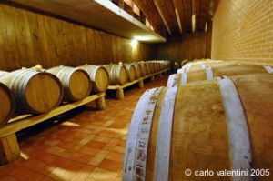 cantine_moroder38