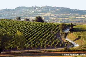 castelfidardo_campagna01