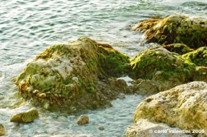 conero_portonovo40