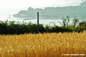 conero_portonovo44