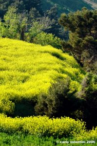 conero_primavera020
