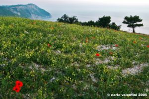 conero_trave03