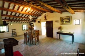 corinaldo087