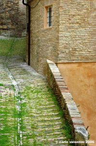 fermo06