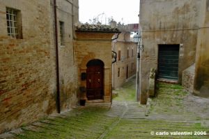 fermo16