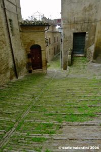 fermo17
