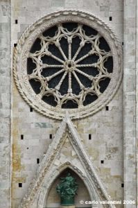 fermo35