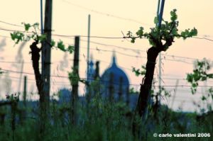 loreto004