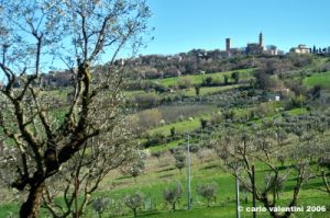 loro_piceno02