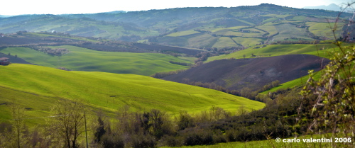 loro_piceno05
