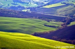 loro_piceno06