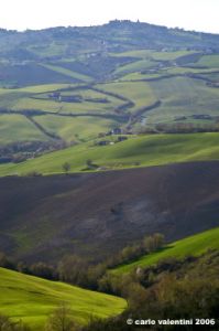 loro_piceno07