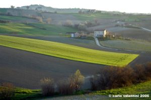 loro_piceno08