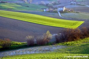 loro_piceno09