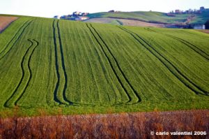 loro_piceno11