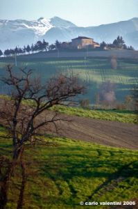 loro_piceno14