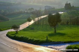 loro_piceno24