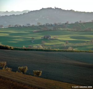 loro_piceno32