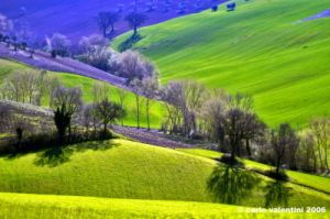 macerata_campagna02