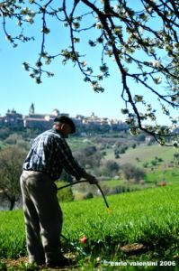 macerata_campagna11